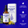Wild Mullein Drops