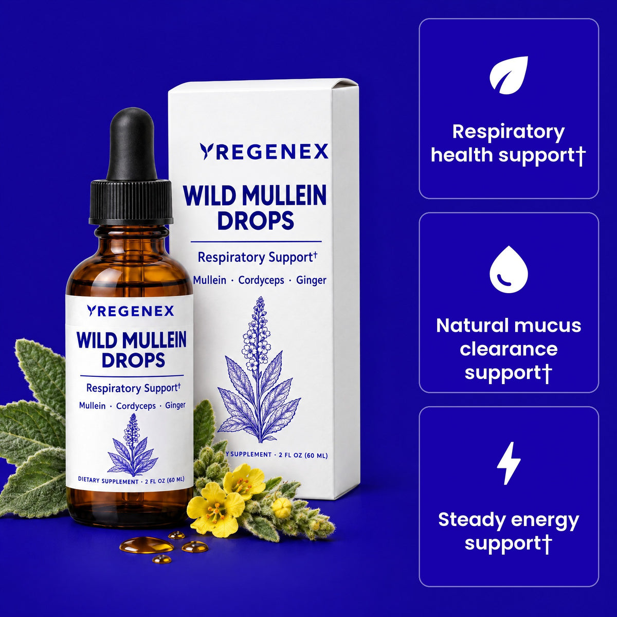 Wild Mullein Drops