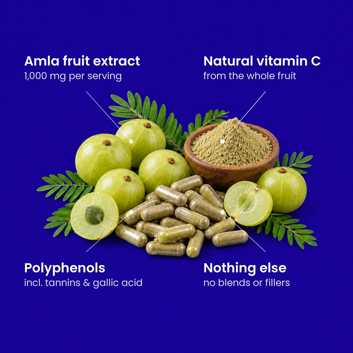 Amla Superfruit Capsules 5