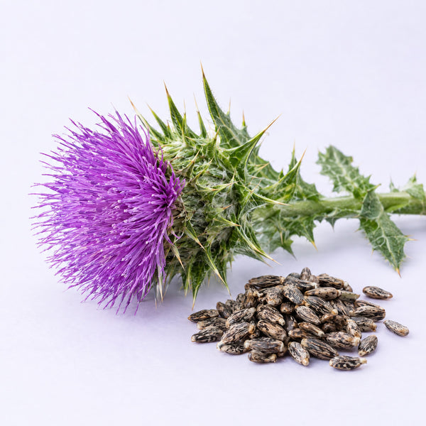 Berberine Liver Support