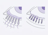 Regenex Steam Therapy Pro eye comfort illustration